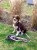 IMG_7486.jpeg